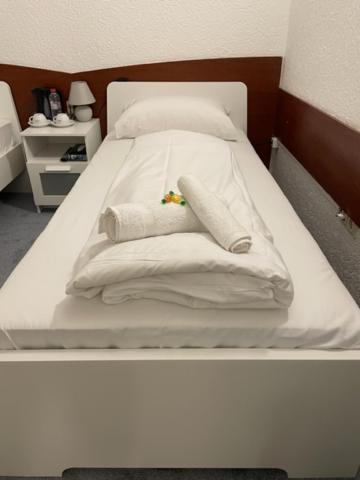 Hotel Starlight Frankfurt am Main Luaran gambar
